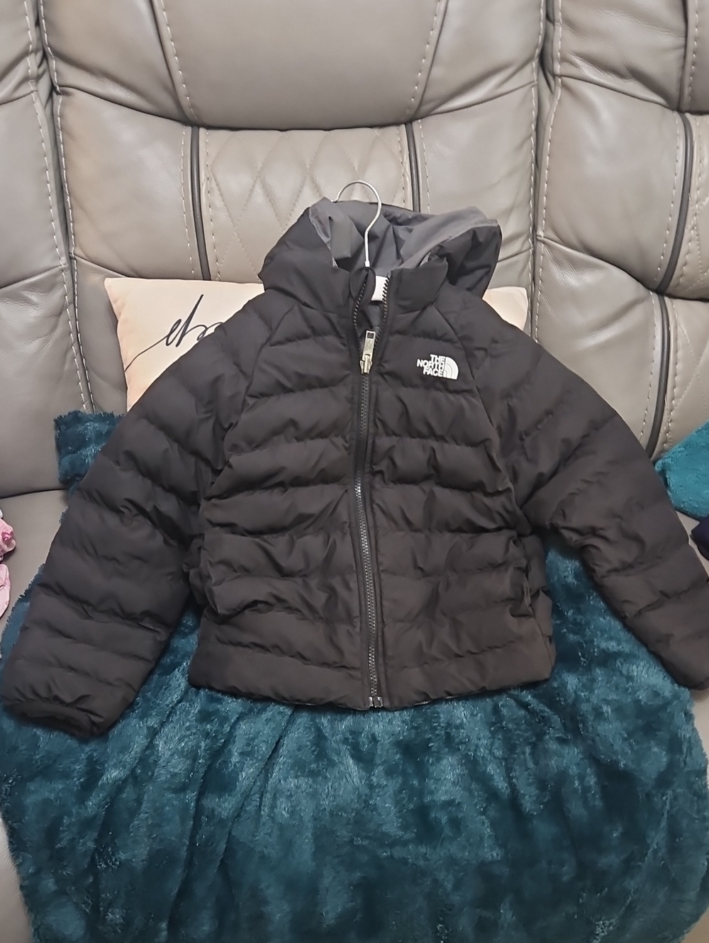 The North Face Kids Black Hooded Puffer Jacket